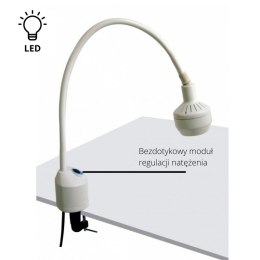 Lampa diagnostyczna ORDISI FLH-2 LED z długą gęsią szyją mocowana do blatu