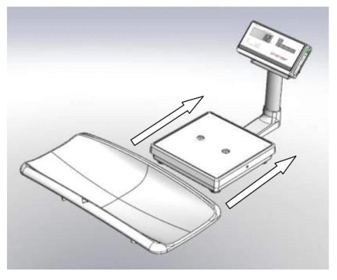 Waga niemowlęca Charder MS 21NEOV zdejmowana szalka klasy III + wzrostomiarka elektroniczna