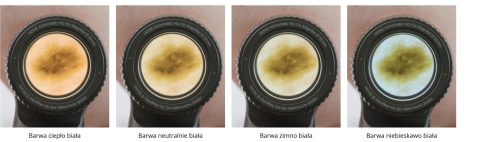 Dermatoskop HEINE DELTA 30 PRO LED z płytką kontaktową, zasilaczem USB-C i etui