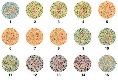 Tablice ishihary dla dorosłych (test ishihary) 15 tablic